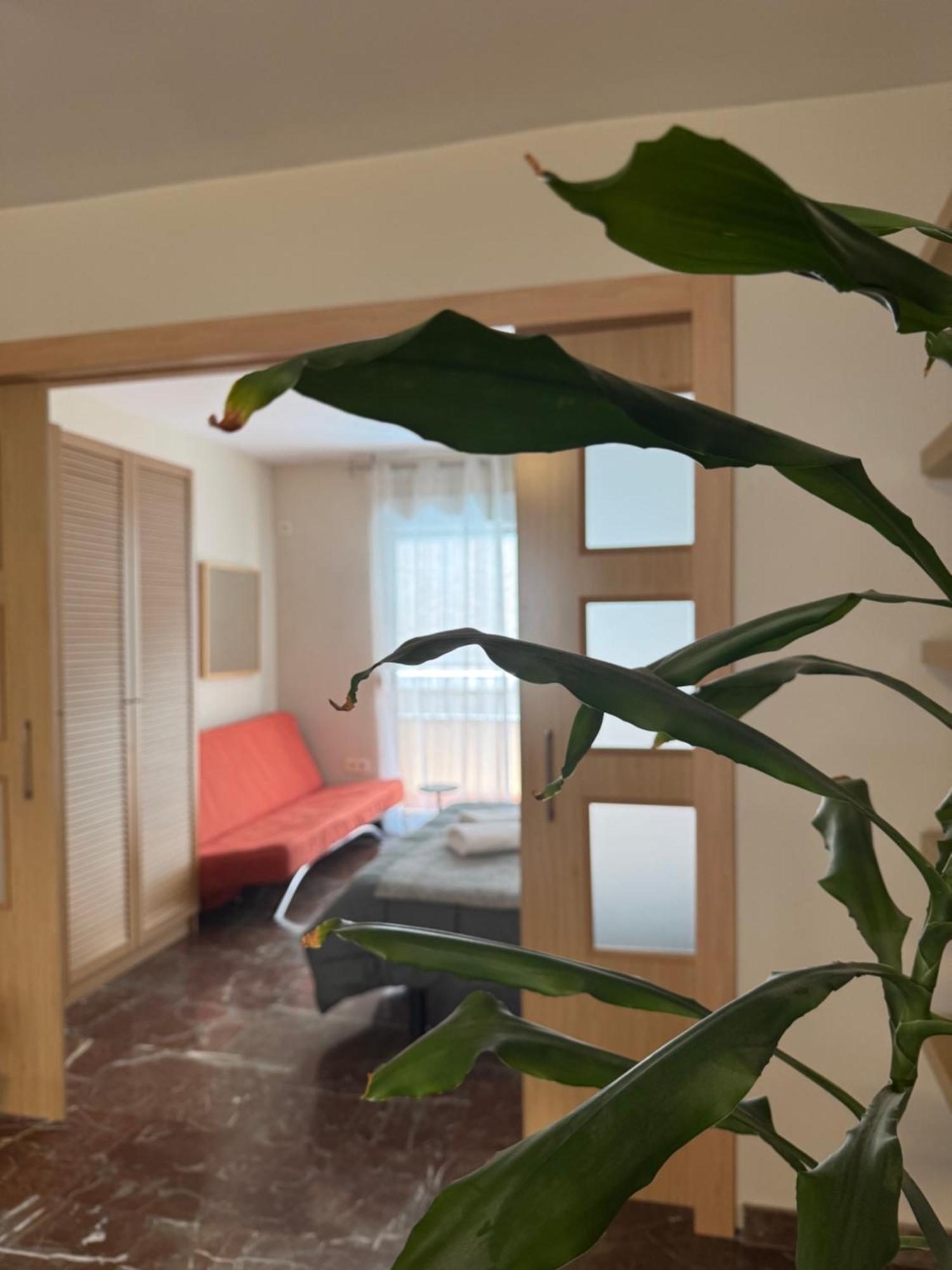 Constitucion Suite Confort D Granada Buitenkant foto